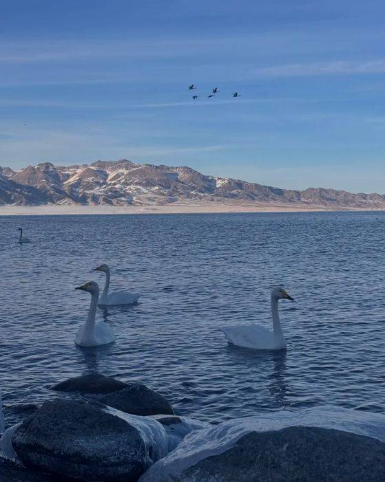 胜游领衔2025新疆高信誉旅行社TOP10pg电子中国网站5000+游客亲测揭晓：远(图4)