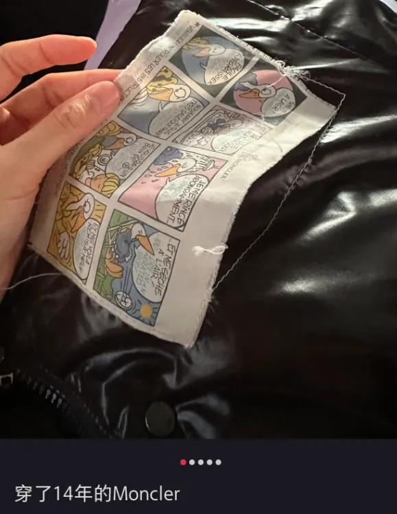 羽绒服贵族”成功截胡加拿大鹅电子pg游戏中国男人捧红的“(图3)