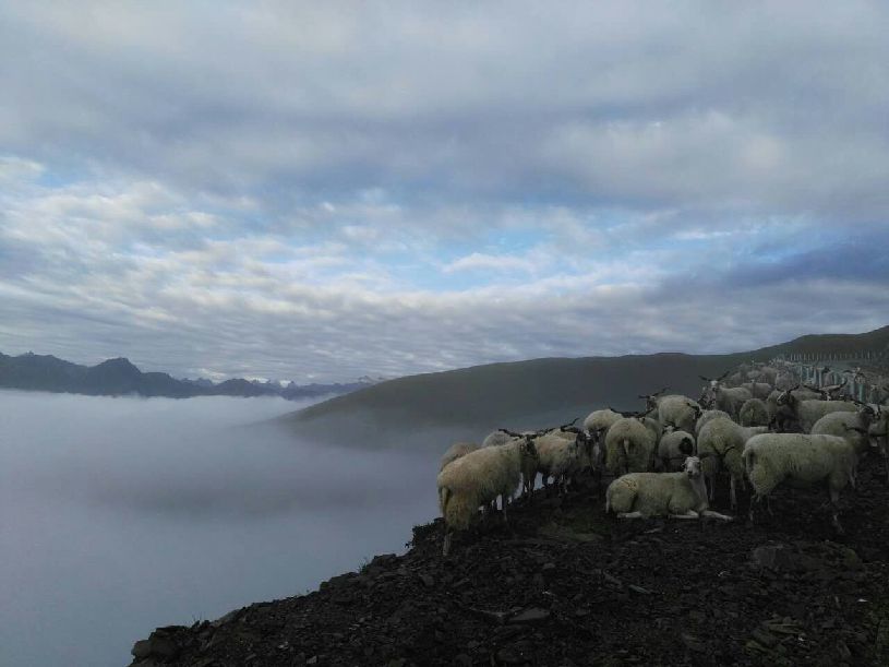 大美中国】达瓦更扎看云海pg电子模拟器免费试玩【(图4)