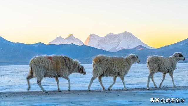 步天堂！西藏库拉岗日雪山圣湖美到窒息pg电子娱乐平台藏在喜马拉雅深处的徒(图13)