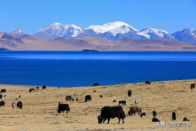 步天堂！西藏库拉岗日雪山圣湖美到窒息pg电子娱乐平台藏在喜马拉雅深处的徒(图19)